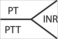 PT  PTT  INR